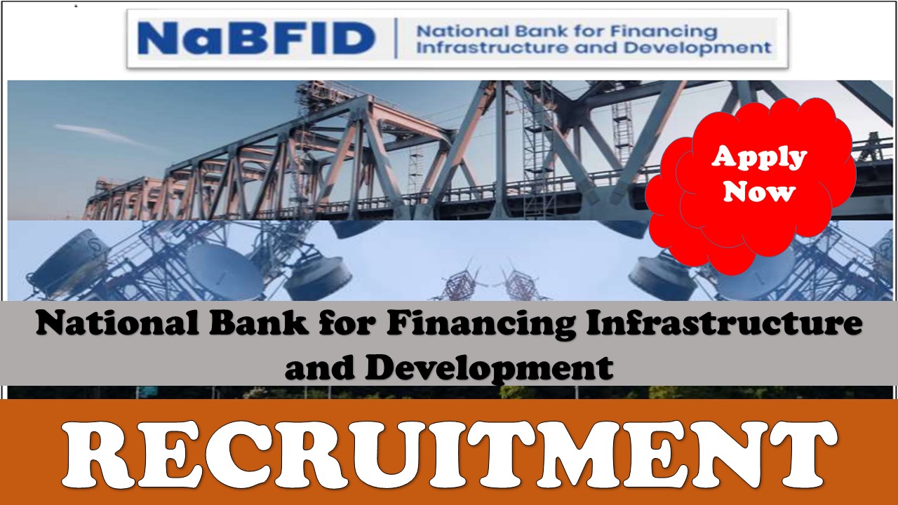 NaBFID Recruitment 2024 for Senior Analyst: Learn About Compensation, Age Restriction and Procedure of Application